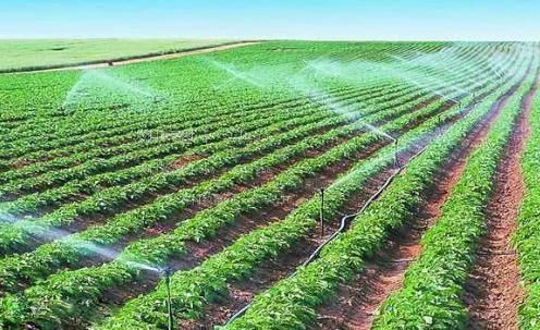 黑人大长屌肏老骚屄A农田高 效节水灌溉